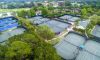 La pandemia negli USA ha portato ad una crescita della pratica del tennis del 22% nel 2020