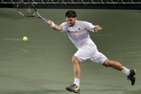 Secondo successo in carriera per Janko Tipsarevic