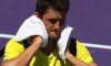 Bernard Tomic se la prende con il padre. Daniel Koellerer saluta definitivamente il tennis professionistico