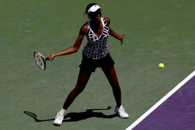 Venus Williams classe 1980, ex n.1 del mondo