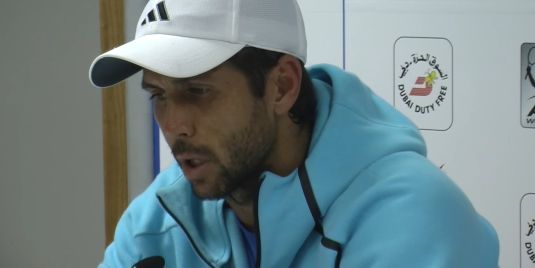 Fernando Verdasco nella foto