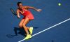 WTA Brisbane, Shenzhen e Auckland: La situazione del Main Draw