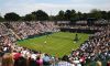 Wimbledon: Risultati Live Day 13 (finale singolare maschile, junior e doppio misto). Livescore dettagliato