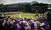 Wimbledon: LIVE i risultati con il dettaglio del Day 12