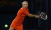 WTA Dubai: Finale tra Radwanska e Goerges. Eliminate in semifinale Wozniacki e Jankovic
