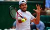 Tommy Haas se la prende con Andy Murray