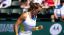 Italiani in Campo (ATP-WTA-Challenger-compreso Wimbledon): I risultati completi con il dettaglio del 25 Giugno 2026