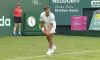 ATP 500 Halle: Cobolli subito out,  brilla l’aggressività diTiafoe