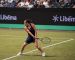 Wimbledon: Il Tabellone Principale Femminile. Paolini, Bronzetti Cocciaretto al via