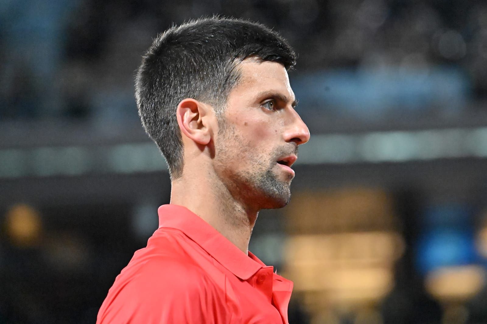 Novak Djokovic - Foto Antonio Fraioli