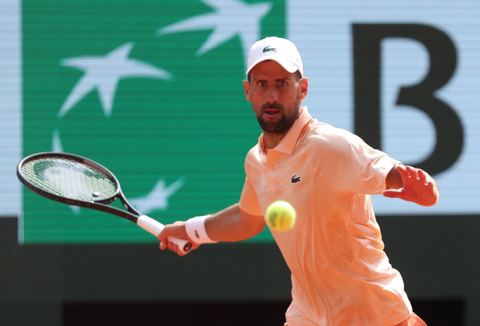 Novak Djokovic classe 1987, n.8 del mondo - Foto Patrick Boren