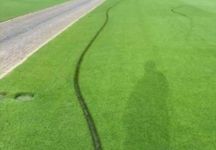 I campi in erba del torneo di Eastbourne danneggiati da atti vandalici