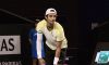 ATP 250 Doha: Il Tabellone Principale. Musetti e Sonego ai nastri di partenza