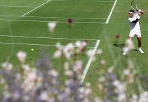 Djokovic e Sinner, incrocio a Wimbledon tra i due grandi rivali: clima disteso ma il pensiero va subito a un possibile nuovo scontro. Si allena anche Lorenzo Musetti (Video)