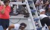 Etcheverry e l’incidente con le ciliegie: lo snack finisce sul campo e Tennis TV ci scherza sopra (Video)
