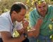 Nadal si lancia nel mondo del vino: presenta la linea “El Tenista”