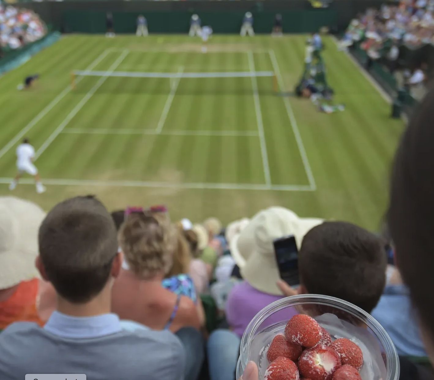 Curiosità storica: La leggenda delle fragole e panna a Wimbledon e altre curiosità