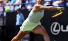 Paolini si arrende in semifinale a Eastbourne: Kasatkina trionfa in rimonta (sintesi video della partita)