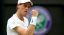 Wimbledon: Entry list Maschile. Nove azzurri al via, Fognini per ora fuori