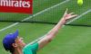 Wimbledon: Primo Turno. Tutti gli scontri diretti e le quote dei tabelloni principali