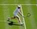 Wimbledon 2026, Sinner stacca tutti i rivali come favorito (al 36% per una media dei bookies)