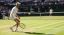 Col successo a Wimbledon, Sinner segna un nuovo record assoluto