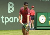 ATP 500 Halle: Sonego cede alla potenza di Shelton