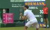 Zverev continua la corsa ad Halle: battuto Hanfmann, sfuma la sfida con Bellucci sconfitto da Collignon
